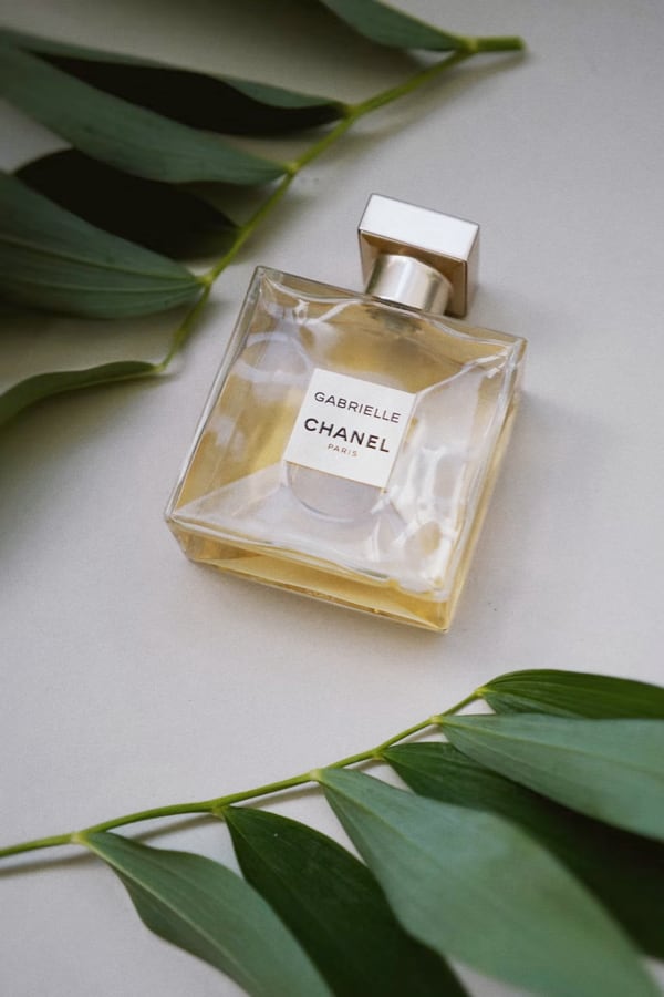 clear square bottle of gabrielle perfume placed between two thin branches with long green leaves